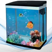 اکواریوم شرکت نو نو