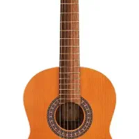 گیتار پارسی m5