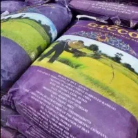 برنج هندی و روغن