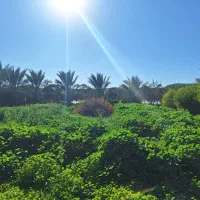 فروش-یک-قطعه-باغ