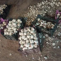سیر|خوردنی و آشامیدنی|اصفهان, سرشبادران|دیوار