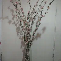 گل و گلدان