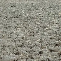 فروش فوری زمین باغ شهری