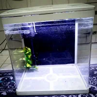 آکواریم دلسا 390K