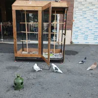 ساخت و فروش گنجه مرغ عشق (کفتر)
