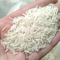 برنج نیمدانه وسرلاشه هاشمی۱۴۰۴ خوش عطرواعلا|خوردنی و آشامیدنی|الوند, |دیوار
