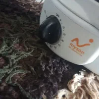 جوجه گردون مایسون