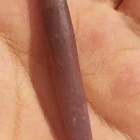 سوحلی تست شده تو آب