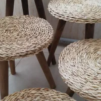 سه‌پایه گلدان|گل و گیاه طبیعی|پاکدشت, پاکدشت (مامازند)|دیوار