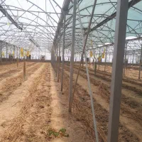 فروش سازه گلخانه ۱۳۰۰متر