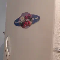 یخچال و فریزر