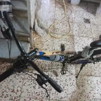 دوچرخه راپیدو|دوچرخه، اسکیت، اسکوتر|گنبد کاووس, |دیوار