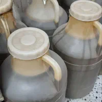 سیر سرکه هفت ساله