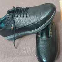 کفش چرم|کیف، کفش، کمربند|بهارستان, |دیوار