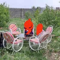 میز صندلی ویلایی