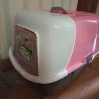 گربه پرشین|گربه|تهران, جنت‌آباد جنوبی|دیوار