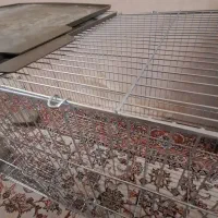 قفس پرنده خرگوش همستر جوجه مرغ سنجاب|لوازم جانبی حیوانات|تهران, افسریه جنوبی|دیوار