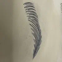 میکروبلید ابرو