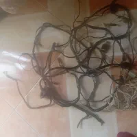 استارت لاستیک پمپ بنزین سیم پیچی پراید|قطعات یدکی و لوازم جانبی|تهران, شهرک فردوس (حسینی)|دیوار