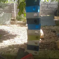 فروش لانه مرغ عشق