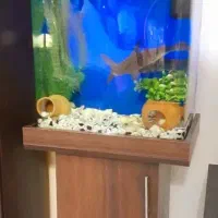 آکواریوم تمیز کمد دار