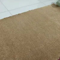 موکت پرز بلند