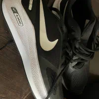 کتونی|کیف، کفش، کمربند|ساری, |دیوار