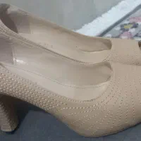 مجلسی|کیف، کفش، کمربند|گرگان, |دیوار