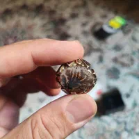 انگشتر دست ساز استاد خجسته شجر قائن
