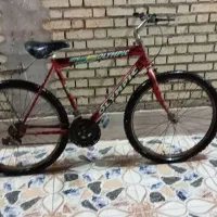 دوچرخه بسگلیت