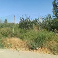 ۳۵۰متر زمین بعد از باشگاه علی آباد|فروش زمین و ملک کلنگی|همدان, |دیوار