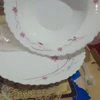 وسایل نو|ظروف سرو و پذیرایی|مشهد, قائم|دیوار
