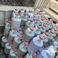 تولید و پخش خیارشور و کلم شور و ترشی