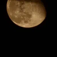 کار میخواهم