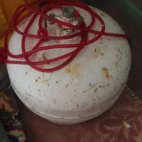 فروش پیکنیک