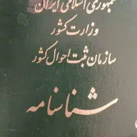 شناسنامه گمشده