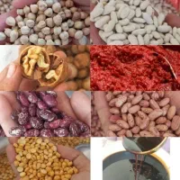 مواد غذایی
