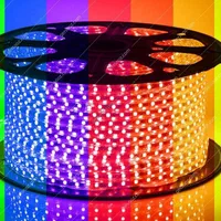 انواع ریسه شیلنگ نور مخفی و هالوژن زیر قیمت بازار