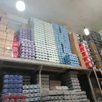 استخدام