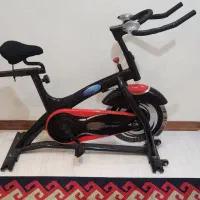 دوچرخه ثابت