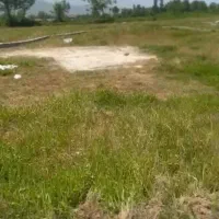 فروش دو پلاک زمین|فروش زمین و ملک کلنگی|شاندرمن, |دیوار