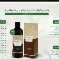 شامپو وماسک موی لدورا|آرایشی، بهداشتی، درمانی|کرج, گلشهر|دیوار