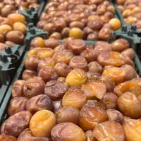 فروش رطب درجه یک برهی خرده و عمده