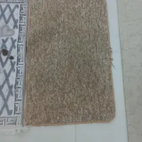 دو پادری سالم