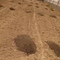 توزیع کود حیوانی(گاوی و گوسفندی) و خاک باغچه|خدمات باغبانی و درختکاری|ری, ظهیرآباد|دیوار