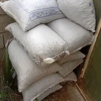 بلوط خوراک دام