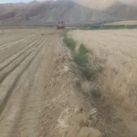 زمین زراعی با آب دایمی از رود ارس مغان