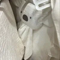 استخدام تعدادی چرخکار مسلط
