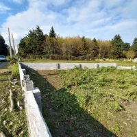 فروش-فوری220مترزمین-داخل-بافت-جنگلی-باسندتکبرگ