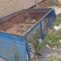 اتاق نیسان و چند عدد لاستیک نیسان